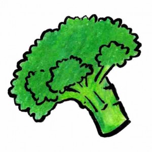 brocoli