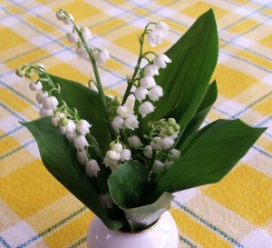 muguet